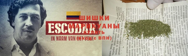 ПСИЛОЦИБИНОВЫЕ ГРИБЫ Алзамай