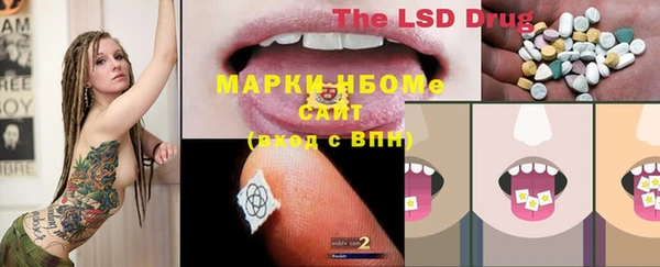 ПСИЛОЦИБИНОВЫЕ ГРИБЫ Алзамай