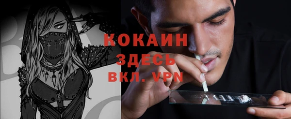 ПСИЛОЦИБИНОВЫЕ ГРИБЫ Алзамай