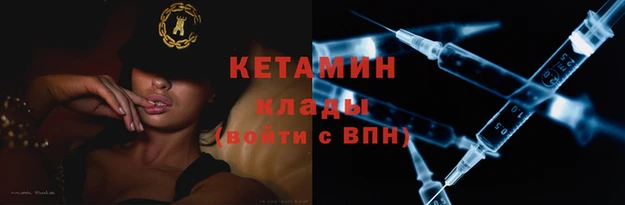 крисы Алексин