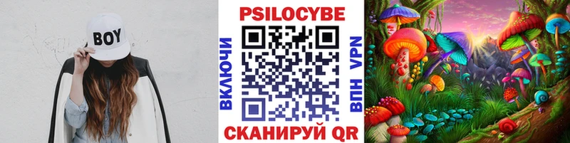 Псилоцибиновые грибы ЛСД  MEGA   Лениногорск 